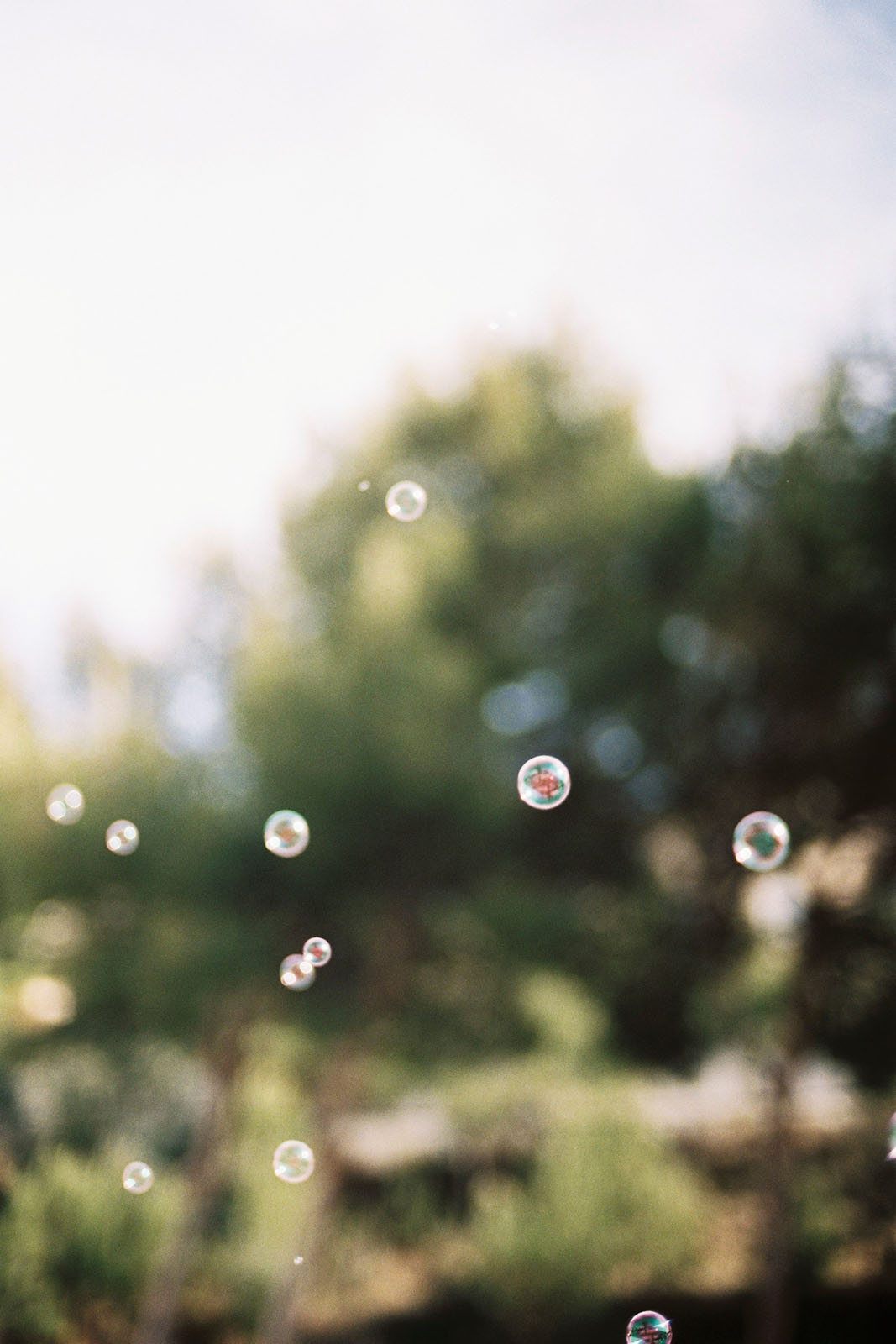 VERY POPULAR Ola Rindal