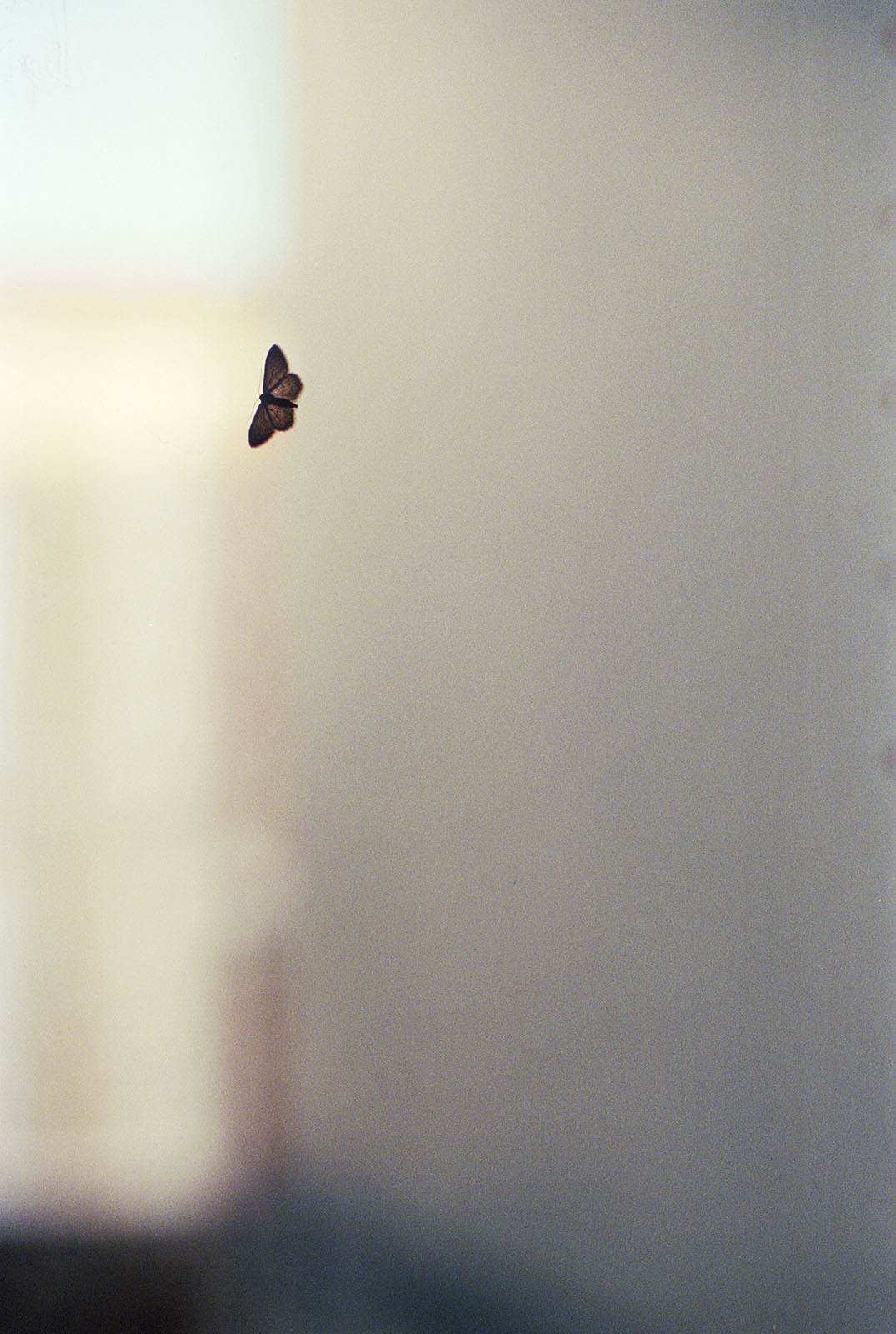 VERY POPULAR Ola Rindal